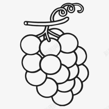 葡萄干水果葡萄图标图标