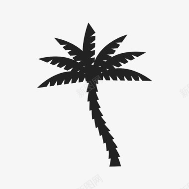 棕榈树常绿树夏季图标图标
