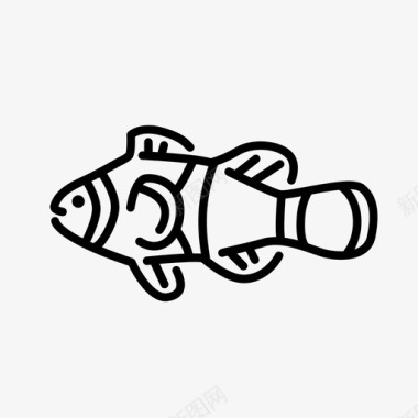 小丑鱼鱼类海洋生物图标图标