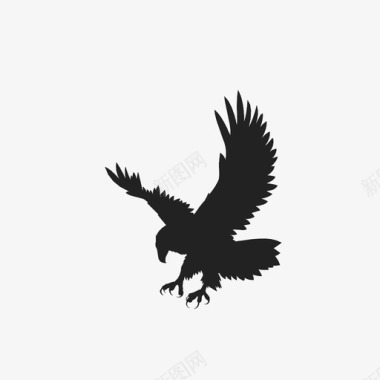 飞翔的鹦鹉鹰猎鹰飞翔图标图标