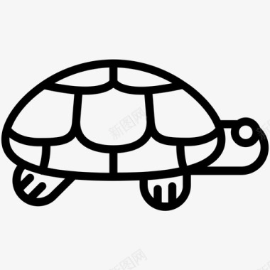 爬行动物海龟动物甲壳动物图标图标
