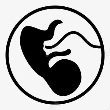 胚胎胎儿胚芽图标图标