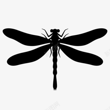 蜻蜓虫子会飞的蝰蛇图标图标