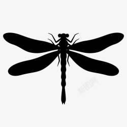 会飞的虫子蜻蜓虫子会飞的蝰蛇图标高清图片