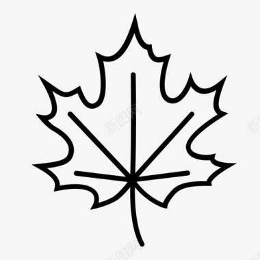 枫叶加拿大树叶图标图标