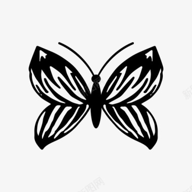 蝴蝶装饰现代图标图标
