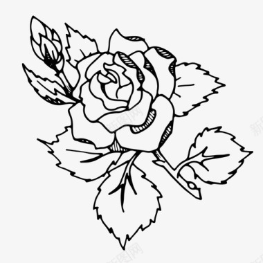 玫瑰花玫瑰丛图标图标