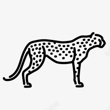 野生猎豹动物猫图标图标