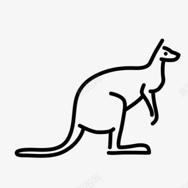 野生袋鼠动物哺乳动物图标图标