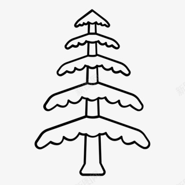 雪松树枝常绿图标图标