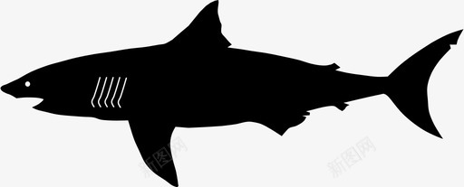 大白鲨动物鱼图标图标