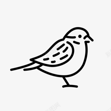 禽鸟麻雀动物鸟图标图标