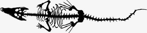 鳄鱼骨鳄鱼动物图标图标