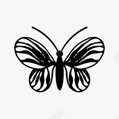 蝴蝶装饰现代图标图标