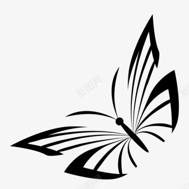 装饰蝴蝶现代自然图标图标