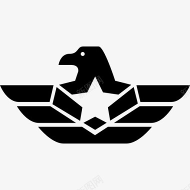 符号带有星星标志特勤处的鹰符号图标图标