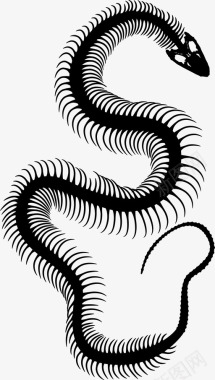 蛇骨动物头图标图标