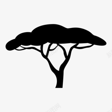 大草原树相思树非洲图标图标