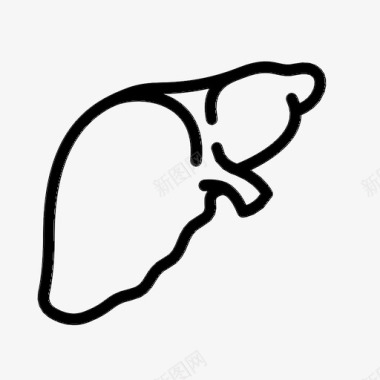 解剖学肝脏解剖学身体图标图标