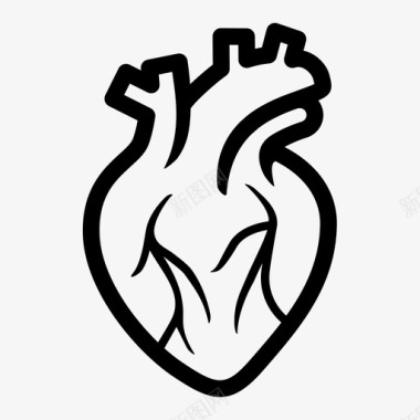 解剖学心脏解剖学心脏病学图标图标