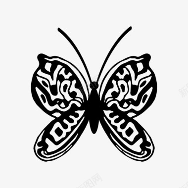 蝴蝶装饰自然图标图标
