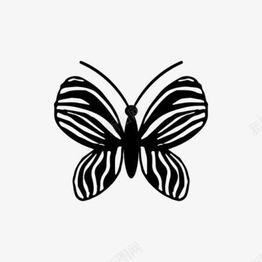 蝴蝶装饰自然图标图标
