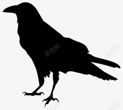 乌鸦小鸟黑鸟图标图标