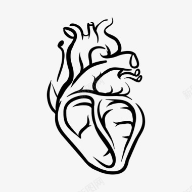 心脏解剖医学真实的图标图标