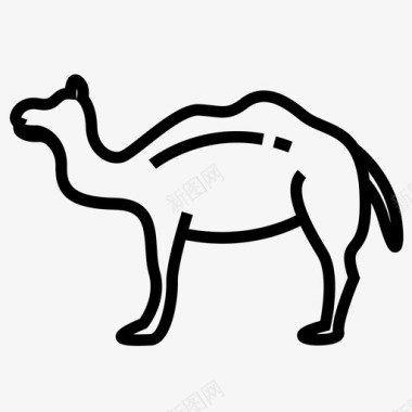 晕眩的骆驼骆驼动物沙漠图标图标
