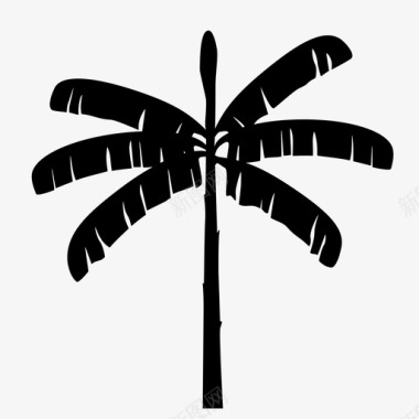 香蕉树椰子棕榈树图标图标
