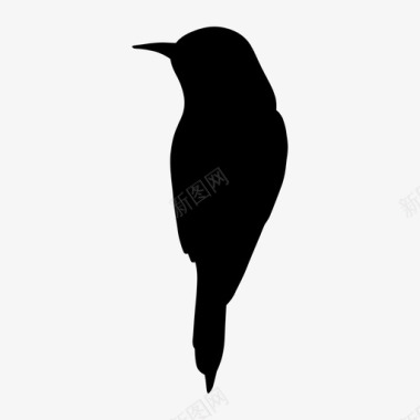 麻雀鸟小鸟图标图标