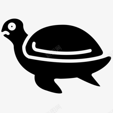 乌龟生日卡乌龟动物海图标图标