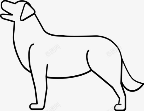拉布拉多狗金毛猎犬图标图标