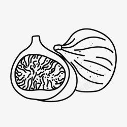 水果内部无花果水果内部图标高清图片