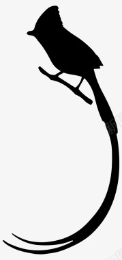 长尾鸟树枝长尾图标图标