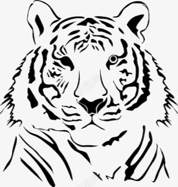 虎斑虎图标图标