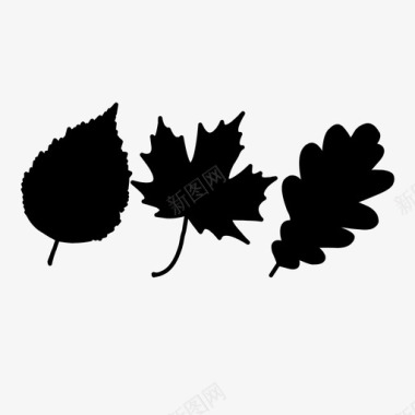 叶子秋天装饰图标图标