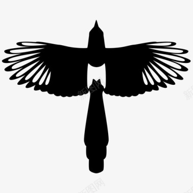 喜鹊小鸟乌鸦图标图标