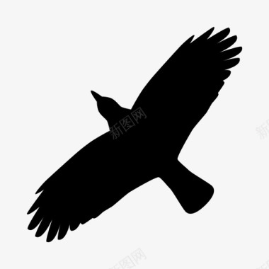 乌鸦鸟飞鸟图标图标