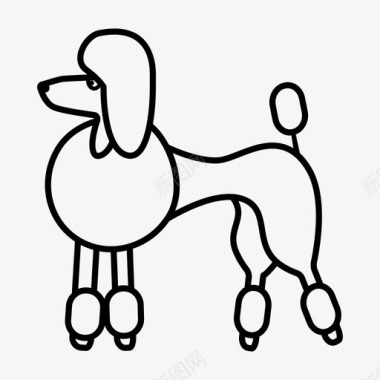 贵宾犬狗宠物图标图标