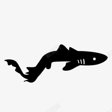 鲨鱼鳗鱼鱼图标图标