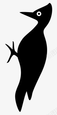 啄木鸟鸟木本图标图标