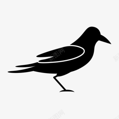 乌鸦小鸟黑色图标图标