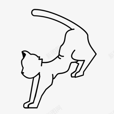 着陆猫重力跳跃图标图标