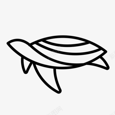 乌龟生日卡乌龟动物动物群图标图标