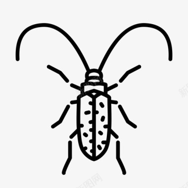 长角甲虫动物虫子图标图标
