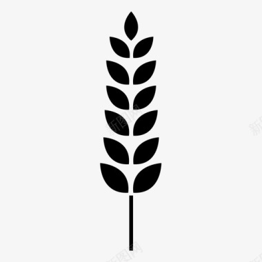 小麦农业非转基因图标图标