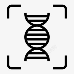 扫描DNAdna测试分析法医图标高清图片