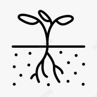树根植物根芽树根图标图标