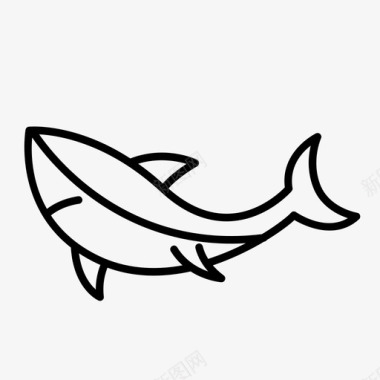 鲨鱼动物动物群图标图标